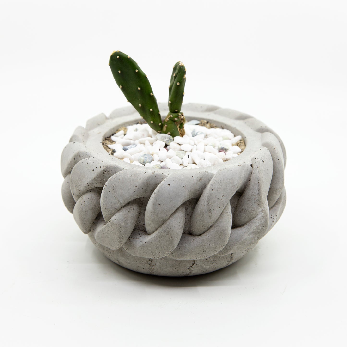 Cuban Link Concrete Planter