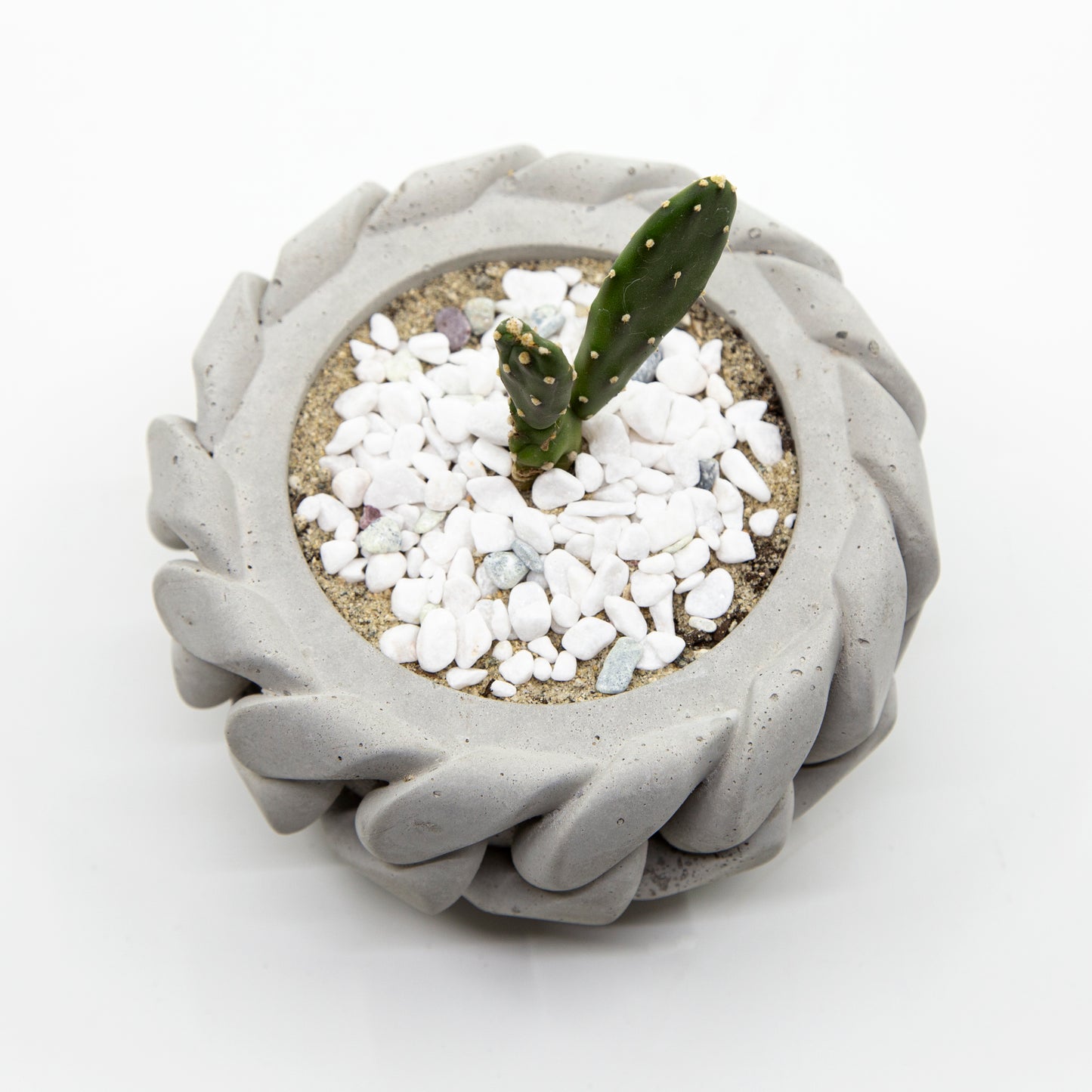 Cuban Link Concrete Planter