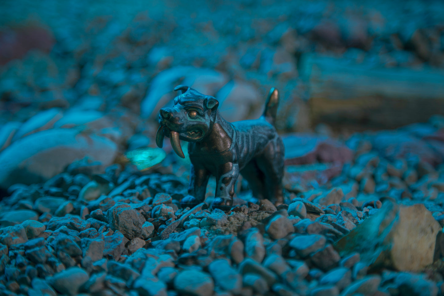 SUNKEN: Mini La Brea the Saber Tooth Pit Bull