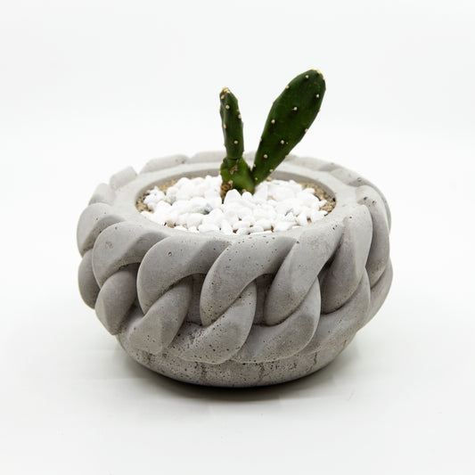 Cuban Link Concrete Planter